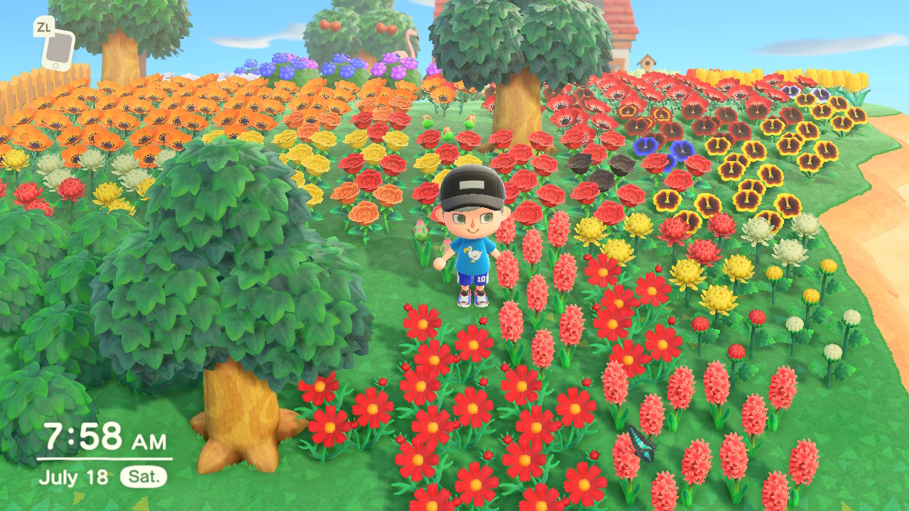 Animal Crossing: New Horizons - Off Topic - VG Community Forums